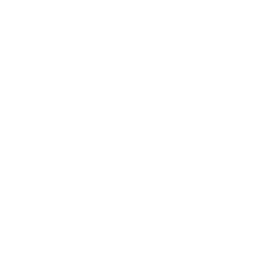Visually Simplified logo White